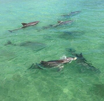 A Florida Keys adventure from the original rental gallery